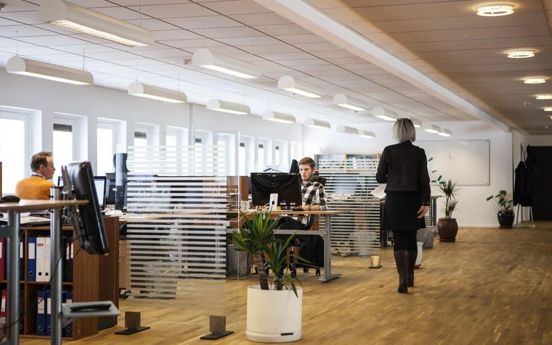 Label Ozmoz : un levier pour améliorer la qualité de l’air au travail