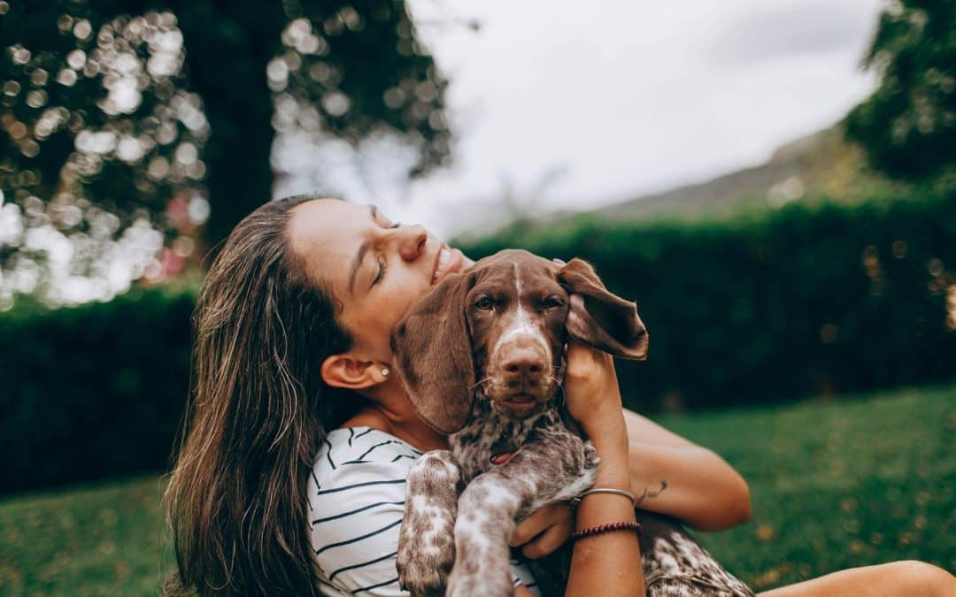 Thérapie de bien-être avec un chien : quel comportement attendre de l’animal ?